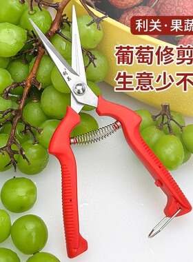 水果店葡萄剪摘果水果专用剪刀修花蔬果剪树枝稀疏果利关摘果小剪