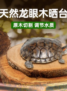 龙眼木乌龟晒台爬台晒背台龟缸造景天然躲避养龟专用垫脚歇脚休息