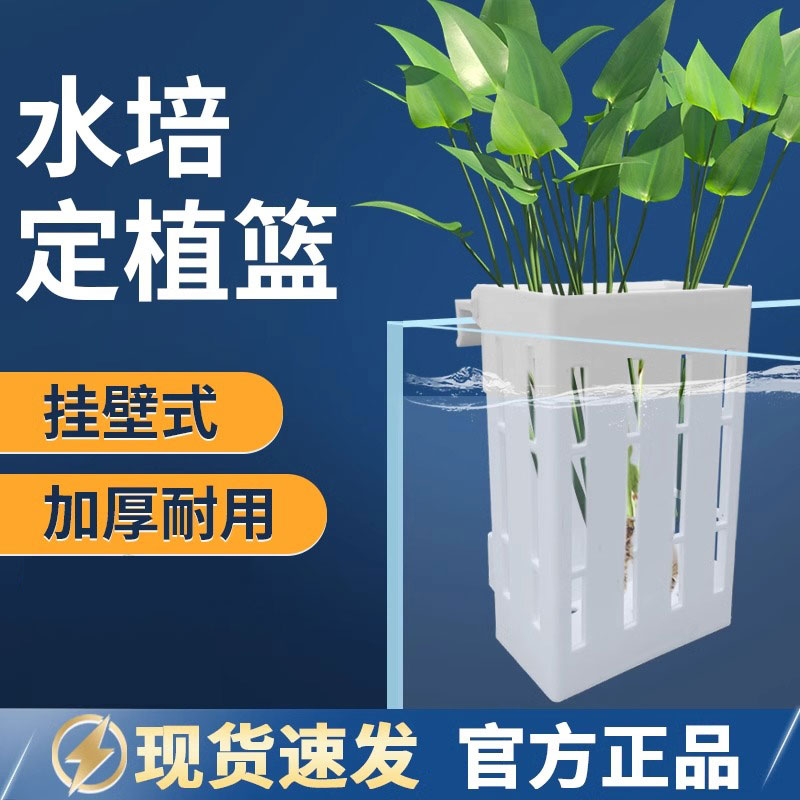 鱼缸水培定植篮壁挂式