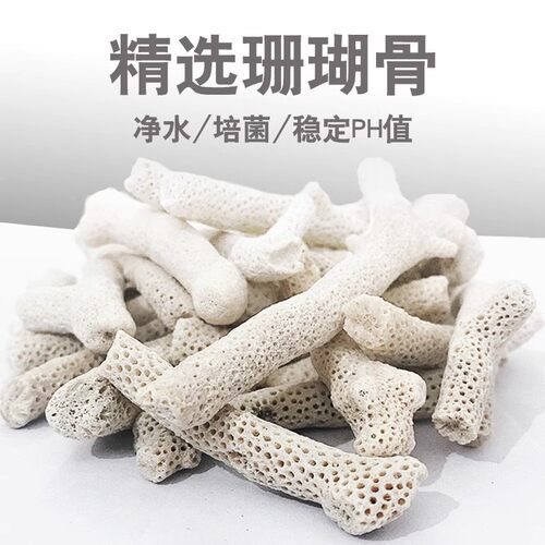 珊瑚骨滤材鱼缸过滤材料珊瑚石
