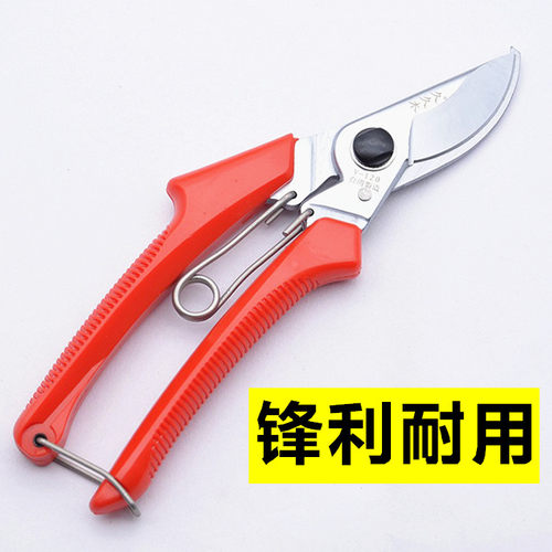 正品久久木果树修枝剪花