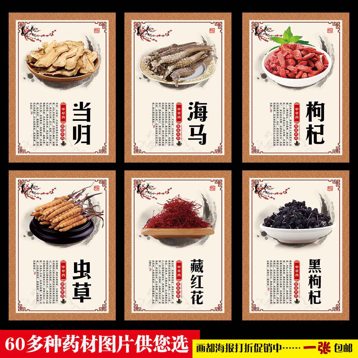 中草药功效海报中药材贴纸挂图人参宣传画鹿茸虫草三七滋补品好处