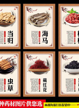 中草药功效海报贴纸挂图人参