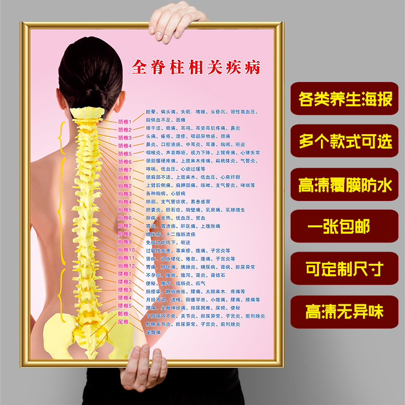 脊柱相关疾病示意图海报脊柱全息图贴纸脊柱保养挂图中医养生kt板
