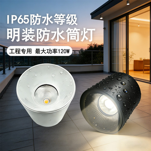 明装吸顶室外高空照明雨棚过道走廊露台防水IP65灯免开孔LED筒灯