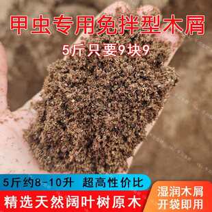 独角仙发酵木屑甲虫宠物活体幼虫锹甲饲料腐殖土产卵土深度木屑