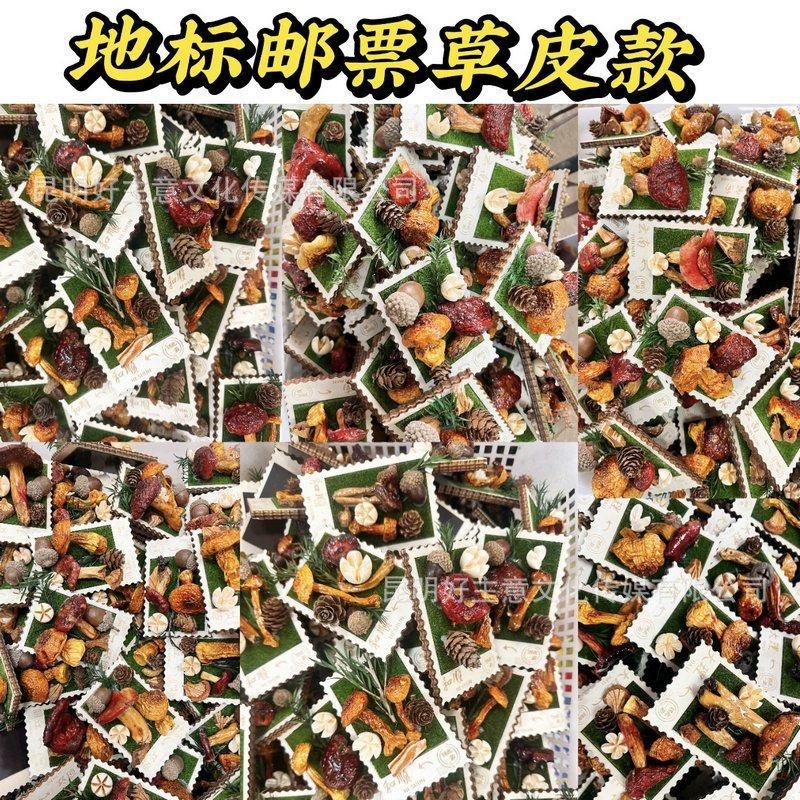 云南昆明菌菇邮票草皮款立体冰箱贴创意仿真植物磁性贴旅游纪念品