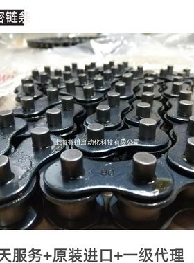 德国IWIS链条定制非标80长销链条16A装盒机链条吸管机制灌机械链