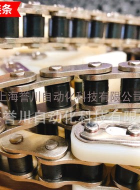 进口德国IWIS链条输送4分08B1自润滑传动滚子链条