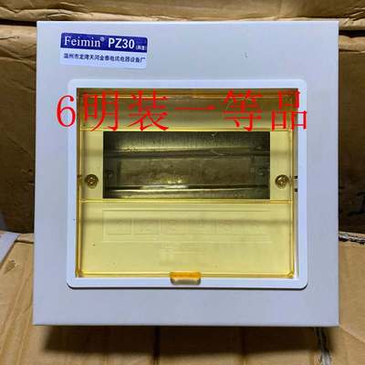 明装PZ30照明配电箱布线箱漏电断