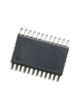 AN2458SH-EI    AN2458SH   TSSOP  原装可直拍HCW