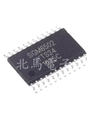 SGM6502 SGM6502YTS24G/TR 封装TSSOP 现货可直拍