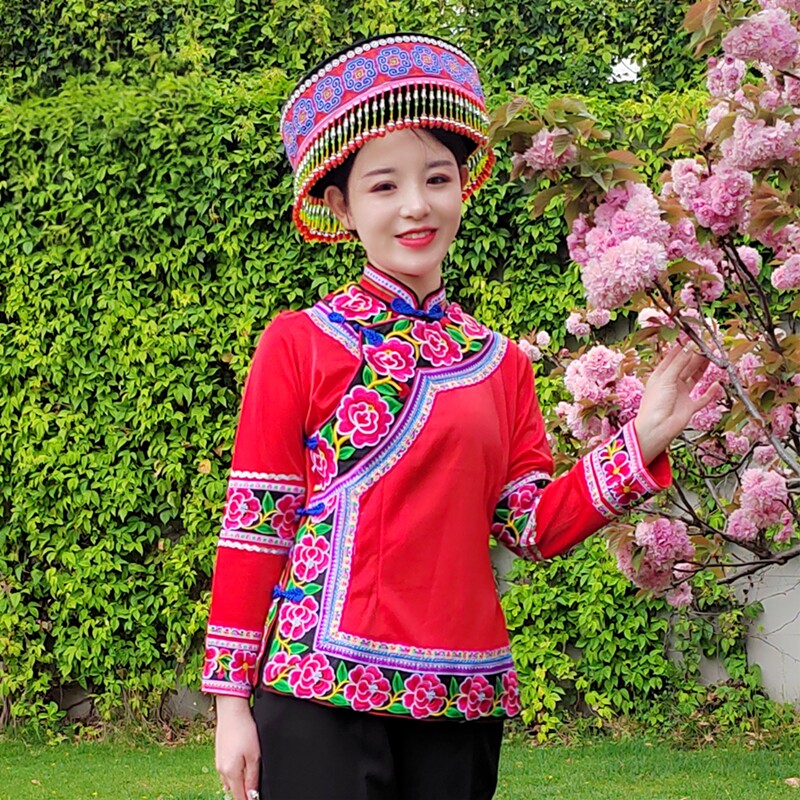 彝族绣花褂子长袖上衣图片