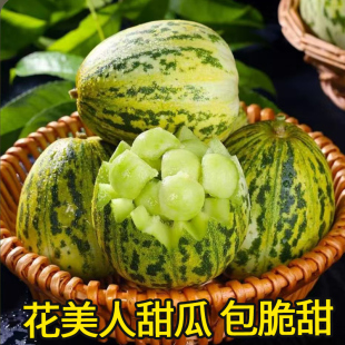 新品种花美人甜瓜新鲜当季水果济宁喻屯产地直发八里香10斤小香瓜