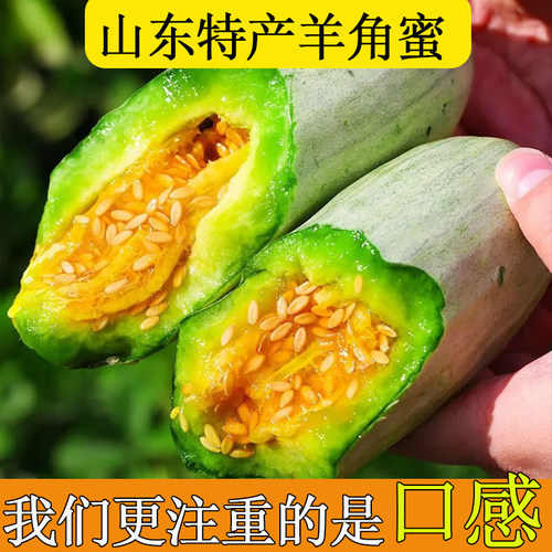 熟好发货济宁喻屯羊角蜜甜瓜