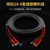 台湾杨阳发烧级主音箱线纯铜HIFI音响喇叭线前置环绕线功放连接线