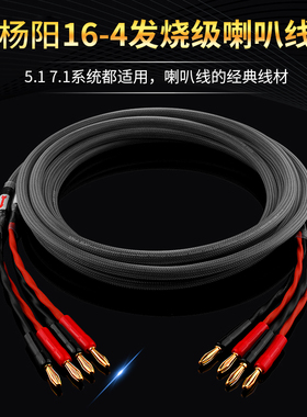 台湾杨阳发烧级主音箱线纯铜HIFI音响喇叭线前置环绕线功放连接线