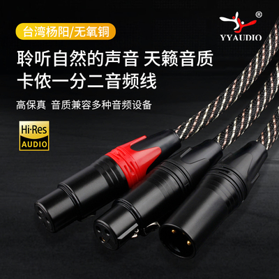 杨阳1分2转双卡侬母音频线