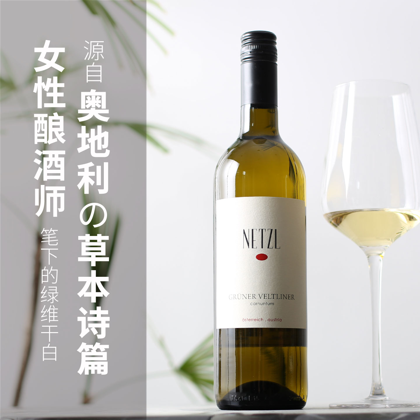 女性酿酒师的温柔魔法 灵动俏皮优雅 草本香气 奥地利干白葡萄酒