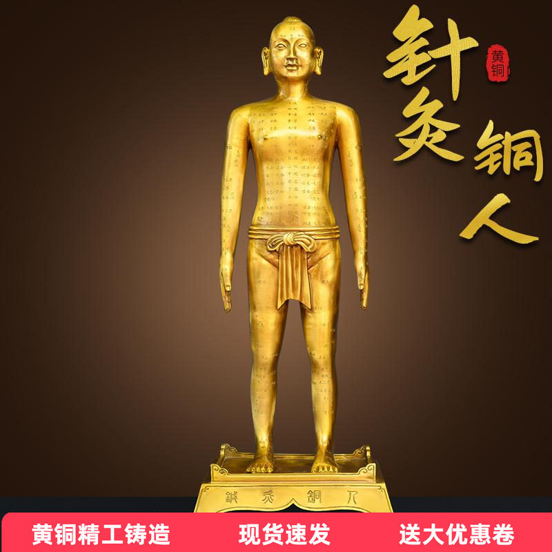 黄铜针灸穴位铜人全身穴位经络模型大诊所药店装饰扎针中医药医馆 - 实物图