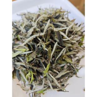 2024年松溪九龙大白茶白牡丹茶叶政和高山老树明前春茶散装50克