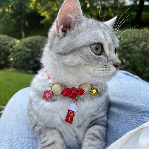 宠物樟木项链猫咪防虫项圈带铃铛如意结可调节手工编织猫围脖饰品
