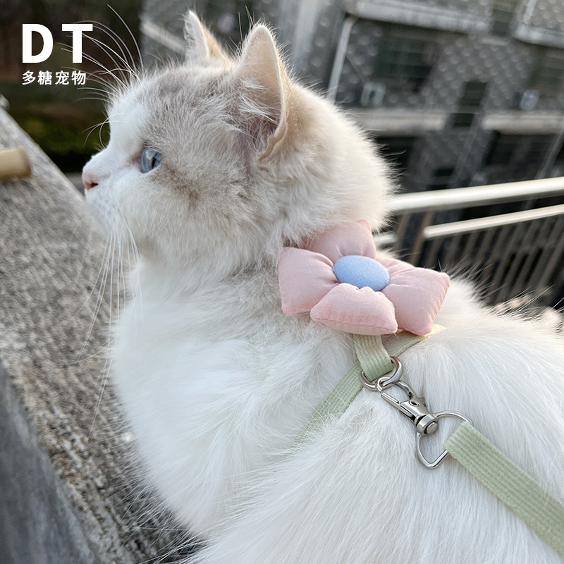 防挣脱宠物牵引绳日系花朵遛猫绳猫咪外出防丢神器小猫幼猫茶杯犬,宠物/宠物食品及用品,猫牵引绳,淘宝优惠券,粉丝福利购,淘宝优惠卷