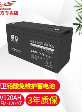 科华技术 KELONG精卫电池120AH 6-GFM-120-YT免维护UPS铅酸蓄电池