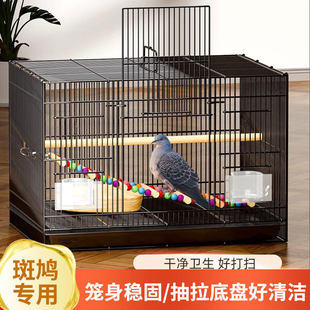 斑鸠笼子鸟笼养斑鸠专用养殖斑鸠笼子活鸟家养的笼子超大号繁殖窝