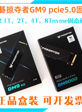 宏碁掠夺者GM9 1T 2t 4T固态硬盘m.2接口PCle5.0正品盒装nvme高端