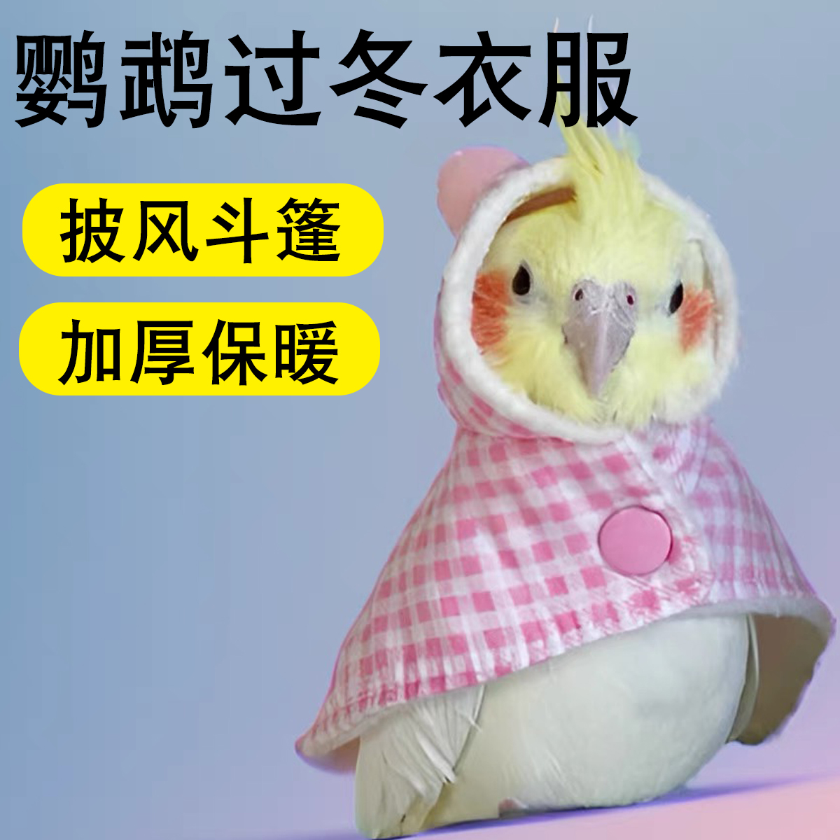 鹦鹉过冬衣服保暖披风斗篷