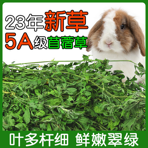 烘干紫花苜蓿草豚鼠兔子专用草料