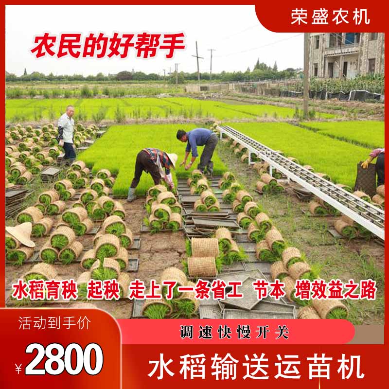 家用水稻运苗机输送秧苗神器自动流水线播种机花卉蔬菜小型工具