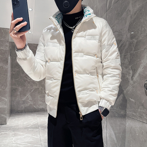 立领羽绒服男修身社会小伙立体字母印花B323-YR01-P128控168图片
