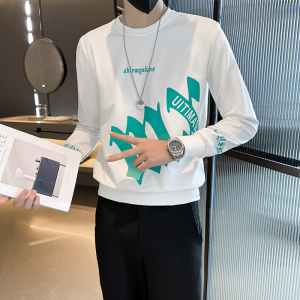 网红社会精神小伙卫衣男字母印花潮牌修身圆领痞帅 两色 WY04-P53图片