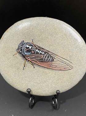 石头摆件现代玄关纯手绘石头画