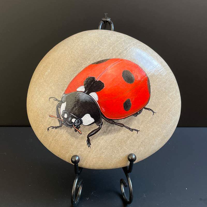 石头画成品瓢虫生日节日礼物家居饰品创意手绘书架桌面摆件