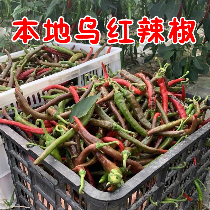 湖南本地乌红辣椒农家自种