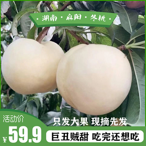 湖南麻阳冬桃雪蜜香脆甜白丑桃孕妇水果新鲜应季特大5斤10非黄桃