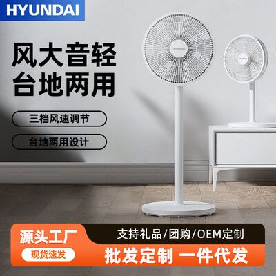 家用电风扇台地两用三档遥控定时8m远距送风轻音省电PP摇头落地扇