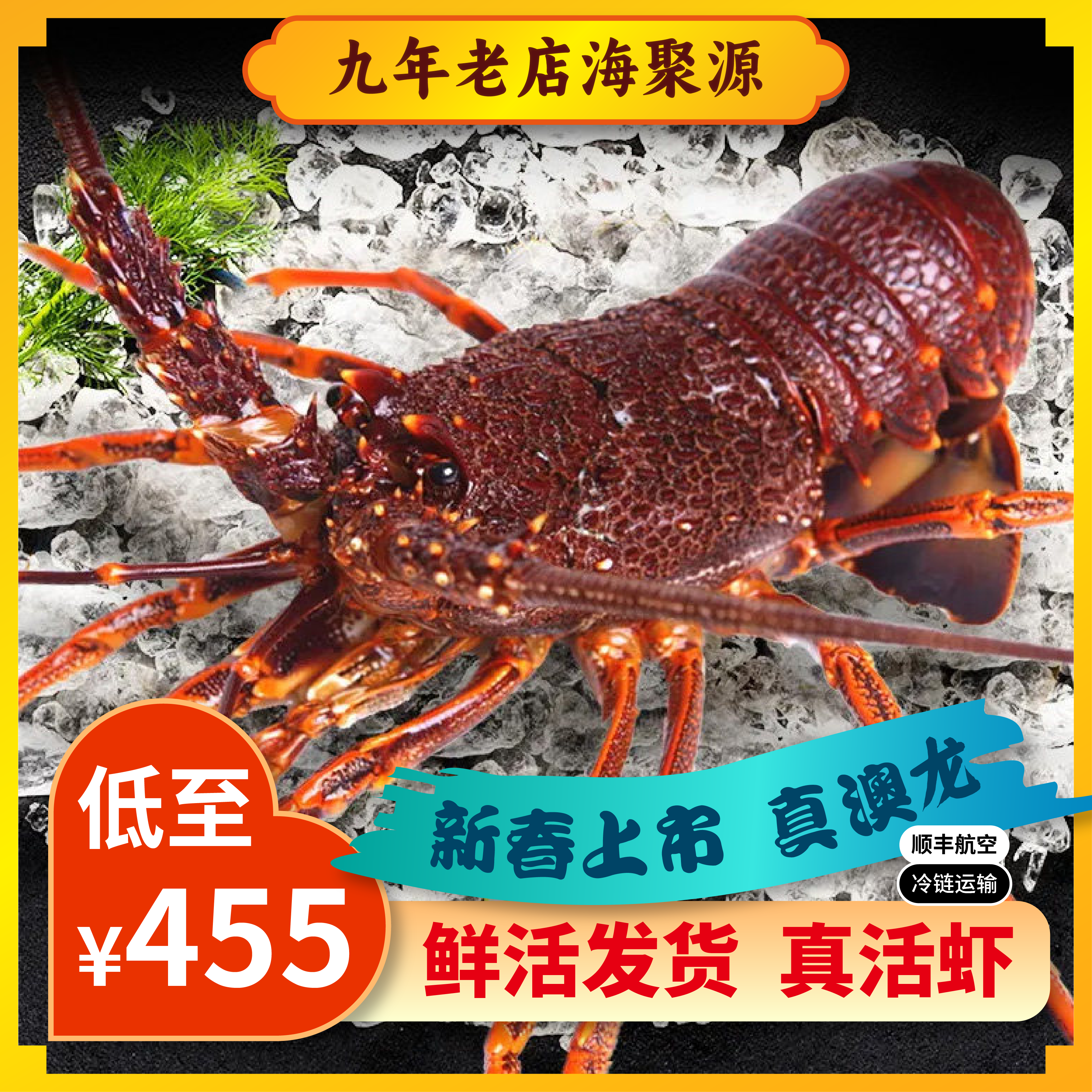 鲜活澳洲龙虾活体活虾特大澳龙新鲜奥龙纽龙岩龙红龙冻虾海鲜水产