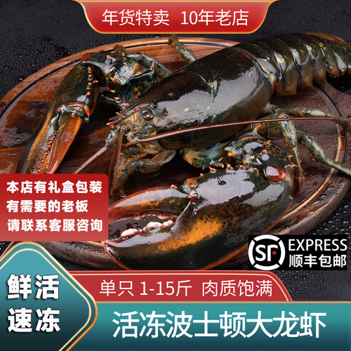 特大波士顿龙虾鳌虾海捕生冻龙虾