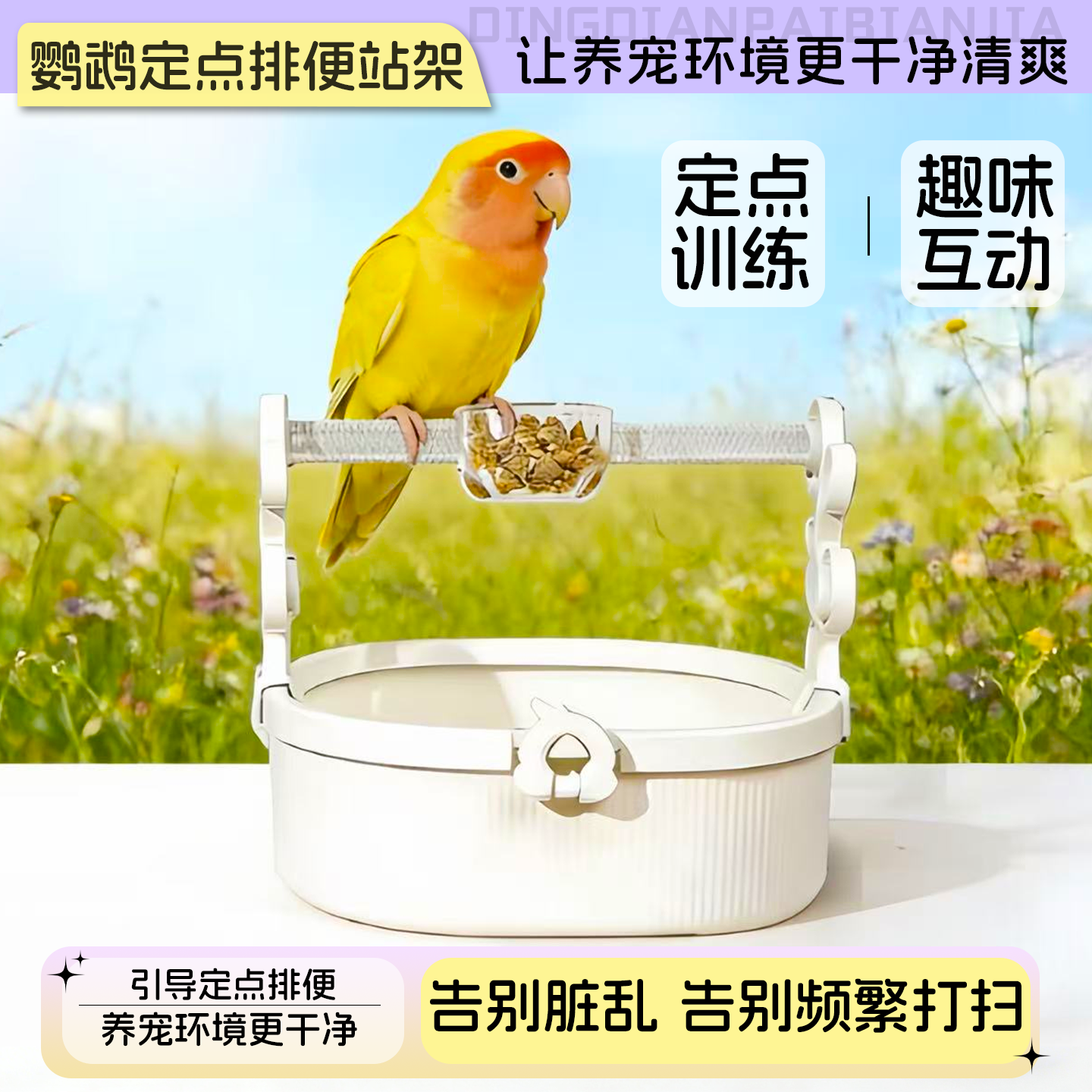 鹦鹉定点排便站架虎皮玄凤牡丹小太阳训练引导带食盒排便磨爪站架