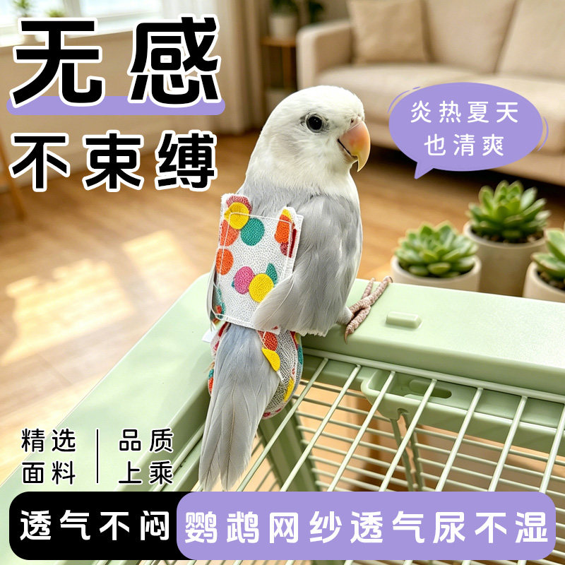 鹦鹉网纱透气尿不湿不闷可爱通风无感纸尿裤防止弄脏家居衣服神器