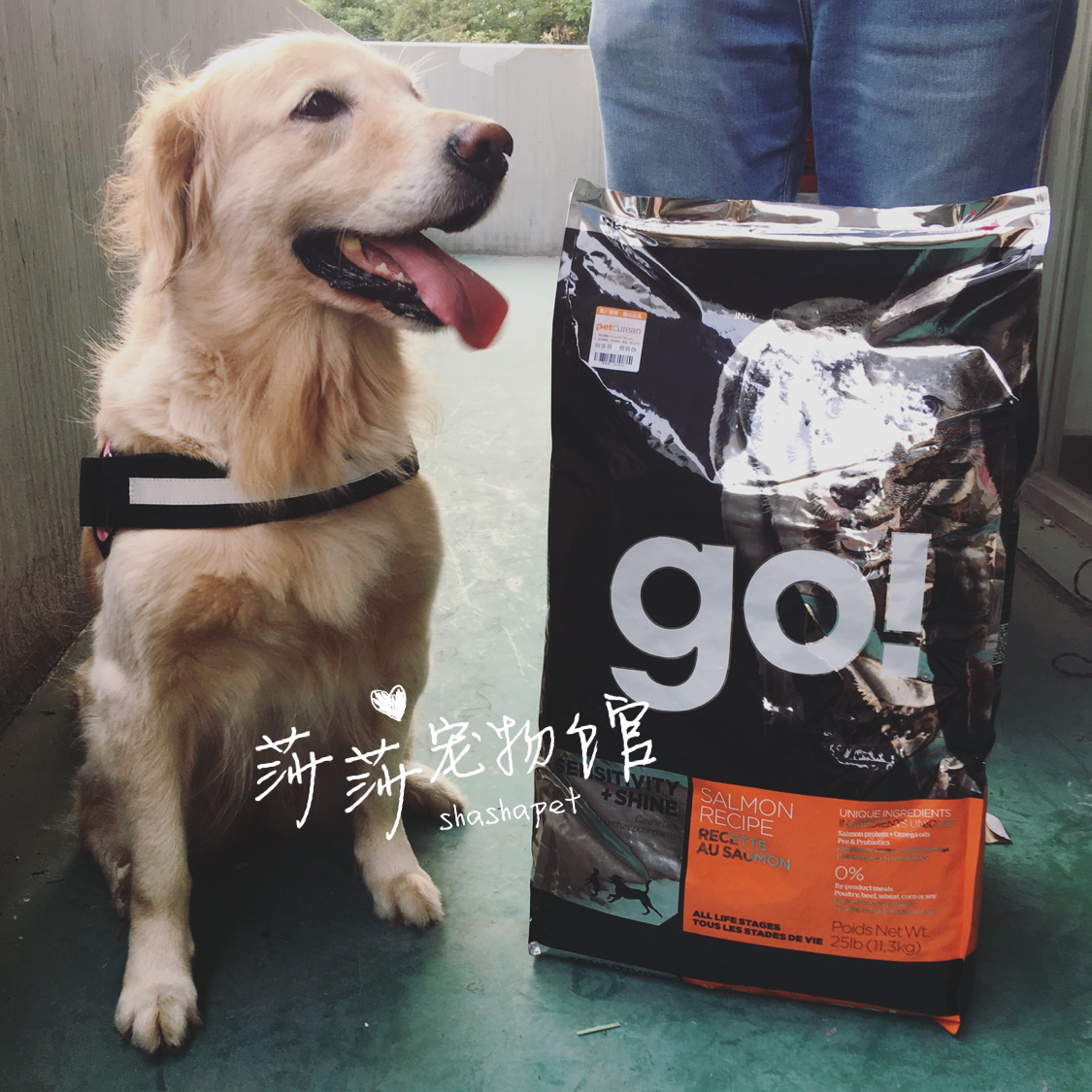 有防伪 百加世授权正品Go美毛系列三文鱼全犬粮天然粮25磅 狗粮