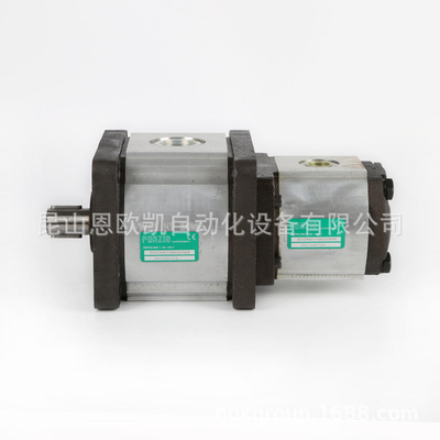 原装正品意大利RONZIO双联泵03ZA