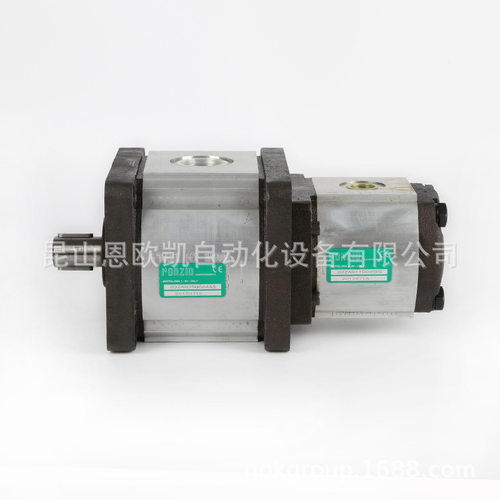原装正品意大利RONZIO双联泵03ZA