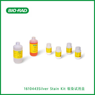 Stain Kit现货 RadSilver 银染试剂盒伯乐Bio
