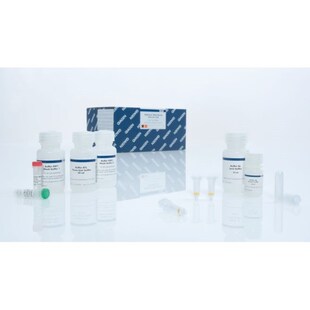 Qiagen凯杰试剂盒 Plasmid Mini Kit (25)现货