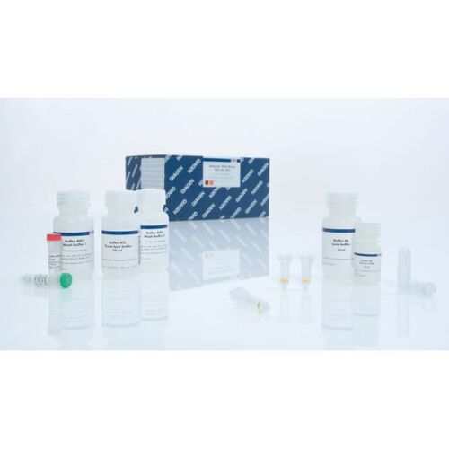 Qiagen凯杰试剂盒PlasmidMiniKit
